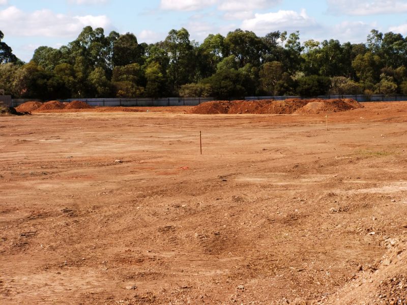 Topsoil Replacement Service