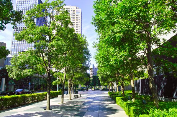 Urban Greening