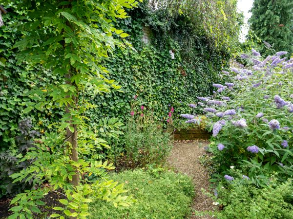 Native Garden Design