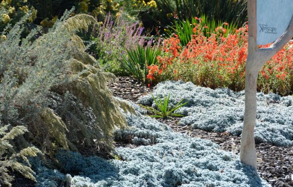 Southwest Landscaping