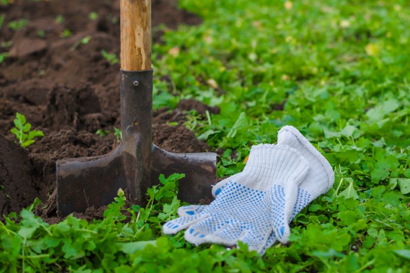 Tools You Actually Need