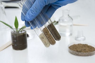 Soil Testing and Preparation
